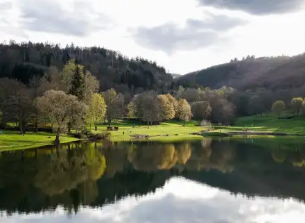Hochsensibilität_Natur2